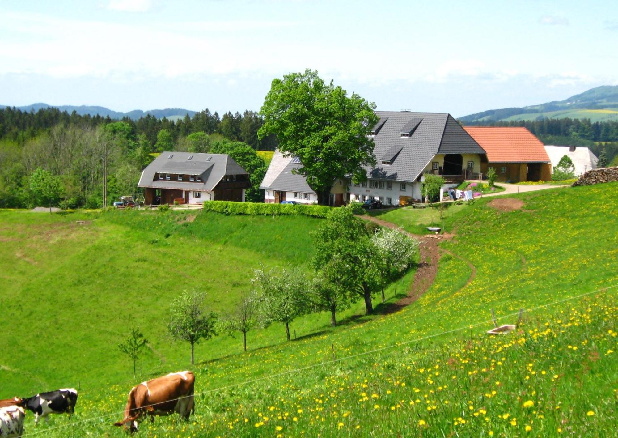 Ferienwohnung Brosihof Erlenbach  Exterior foto