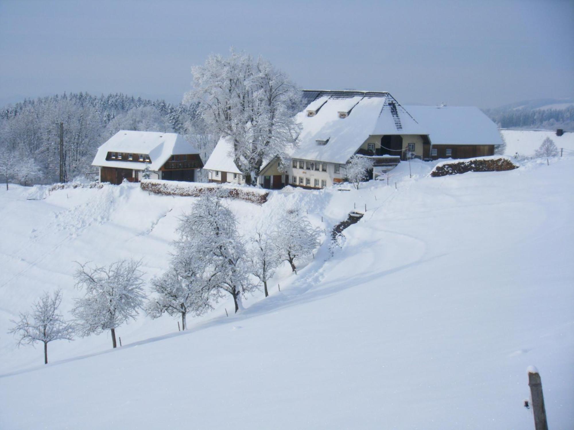 Ferienwohnung Brosihof Erlenbach  Exterior foto