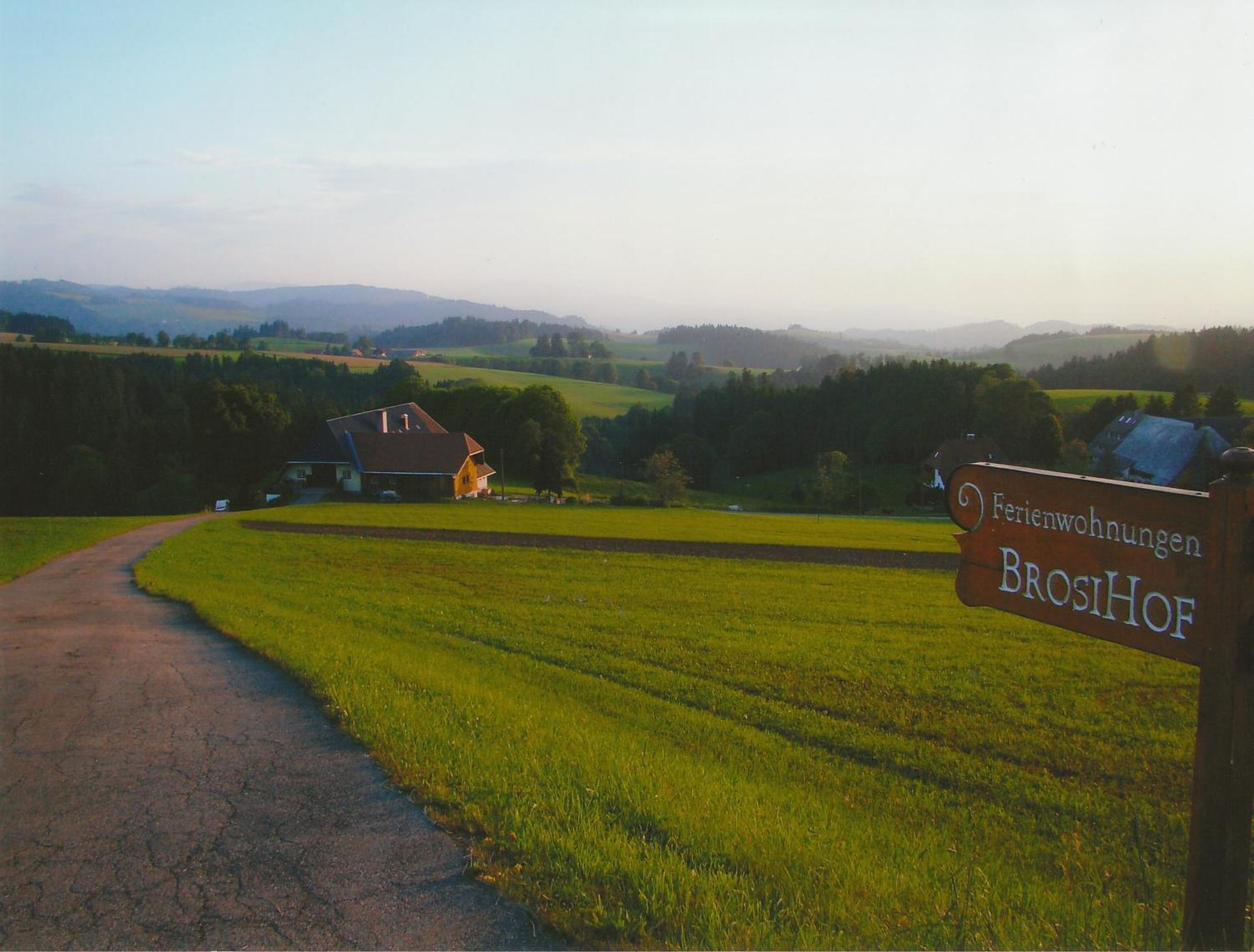 Ferienwohnung Brosihof Erlenbach  Exterior foto