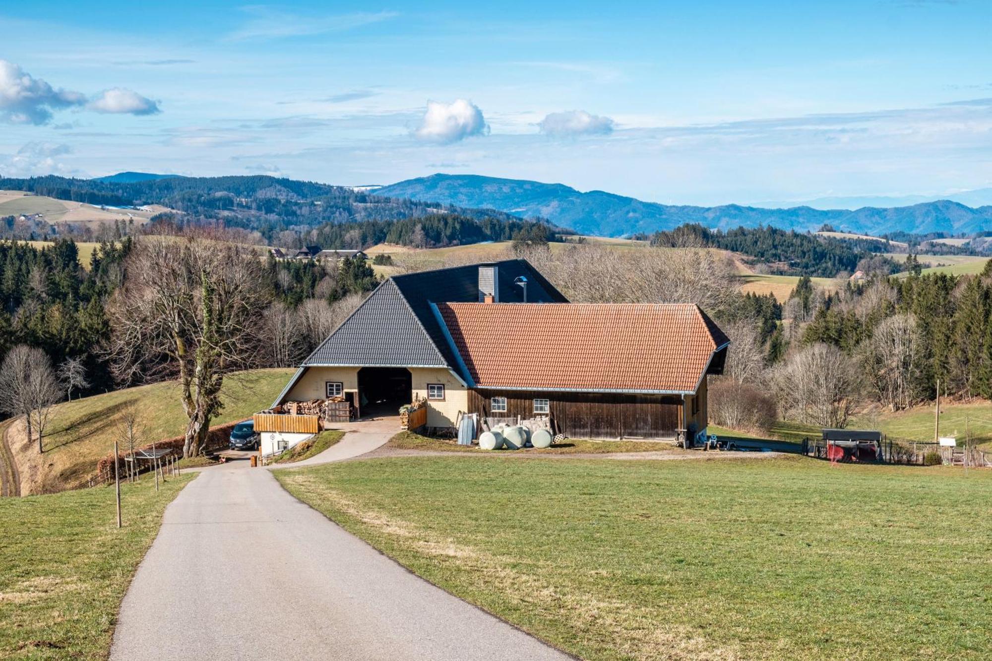 Ferienwohnung Brosihof Erlenbach  Exterior foto